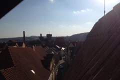 Pohled na hrad Kotnov/View of Kotnov castle